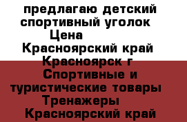 предлагаю детский спортивный уголок › Цена ­ 3 500 - Красноярский край, Красноярск г. Спортивные и туристические товары » Тренажеры   . Красноярский край